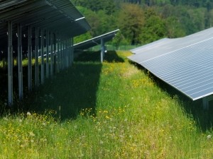 Solarpark